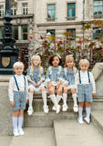 The Valencia Collection Dress in Blue Check