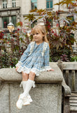 The Valencia Collection Dress in Blue Check