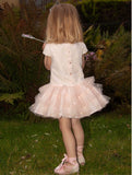 Sonata Pink Princess Style Tutu Dress VE23-27