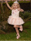 Sonata Pink Princess Style Tutu Dress VE23-27